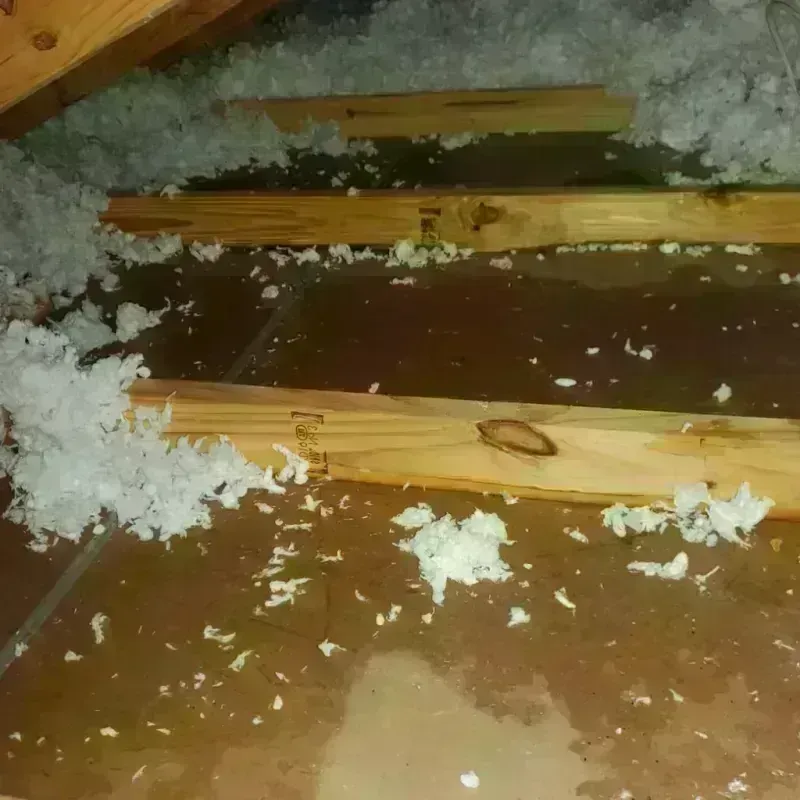 Attic Water Damage in Marshall, WI