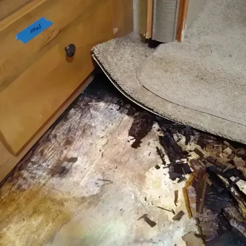 Wood Floor Water Damage in Marshall, WI